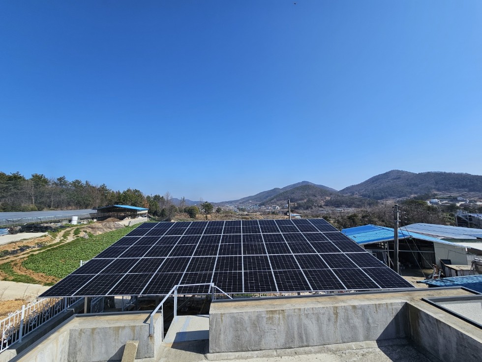 /user/m/miraeenp/editor/2506/3e8a1a2166ea63ebce658e5056e83c03_1750059246_0052.jpg 이미지크게보기