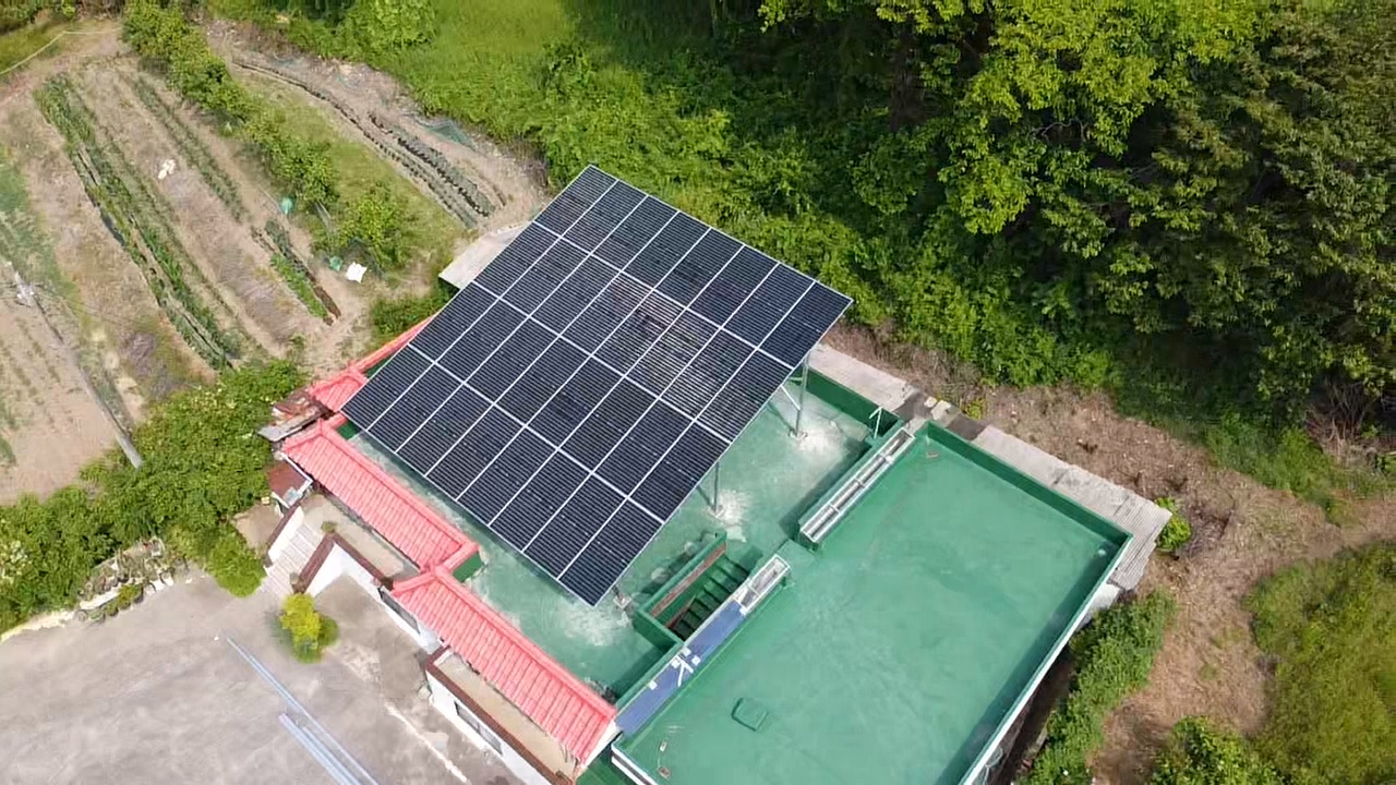 /user/m/miraeenp/editor/2506/4bca70d307749ec54814c933062b773b_1750214341_1116.jpg 이미지크게보기