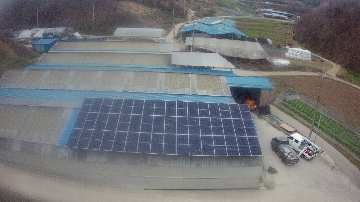 /user/m/miraeenp/editor/2506/563ec1c3263abb5f74516a84f6095f70_1750062079_9396.jpg 이미지크게보기