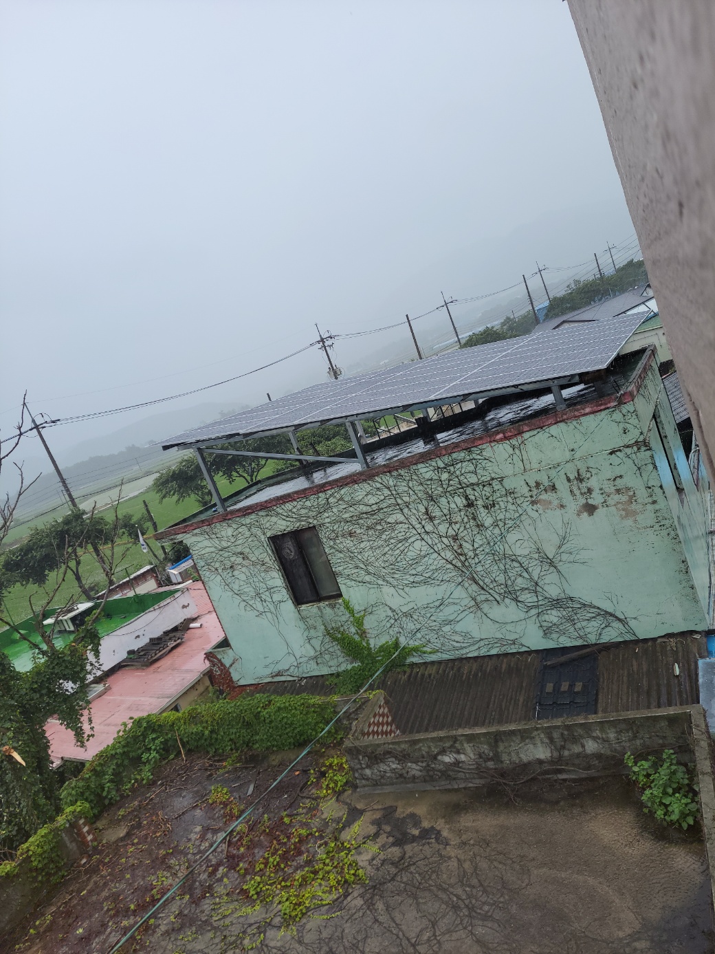 /user/m/miraeenp/editor/2506/d3c2932a92ba659d020d5cb5901b5c44_1750296149_3028.jpg 이미지크게보기