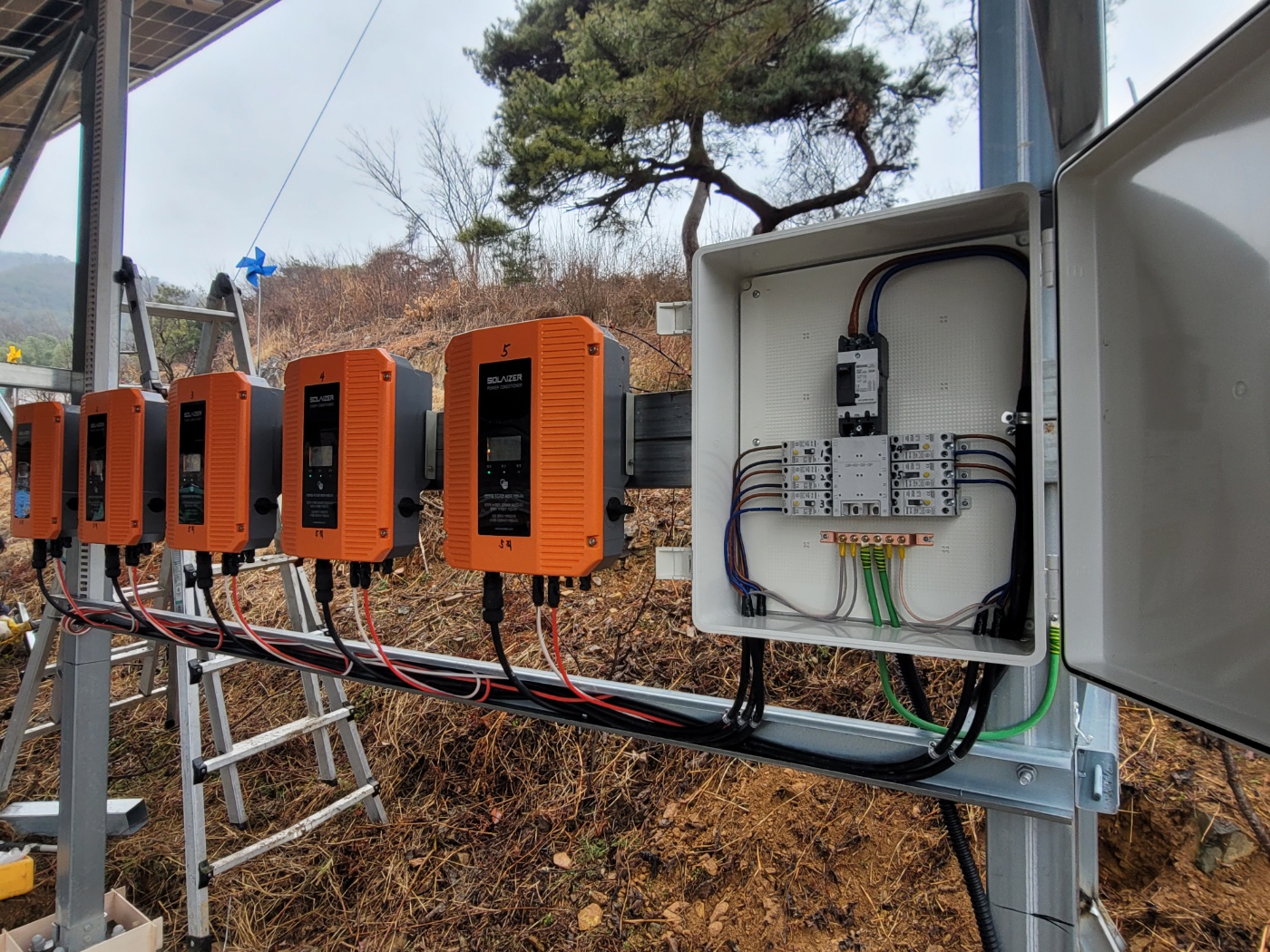 /user/m/miraeenp/editor/2506/e6295b477ebfff408d17b02eb319e38c_1750053315_8408.jpg 이미지크게보기