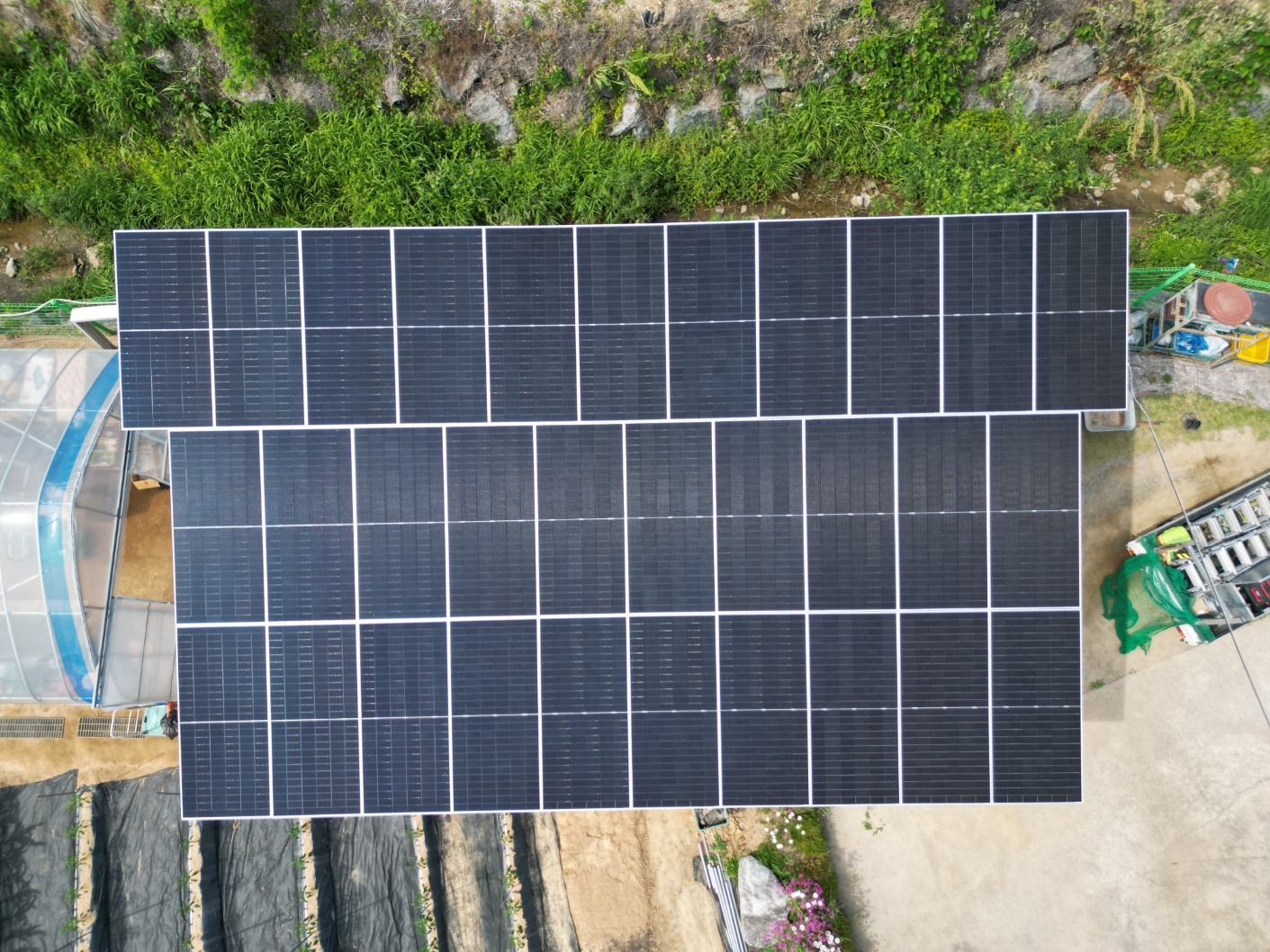 /user/m/miraeenp/editor/2601/5ff713bf9954304ded0b075424d8d08c_1769495486_3771.jpg 이미지크게보기