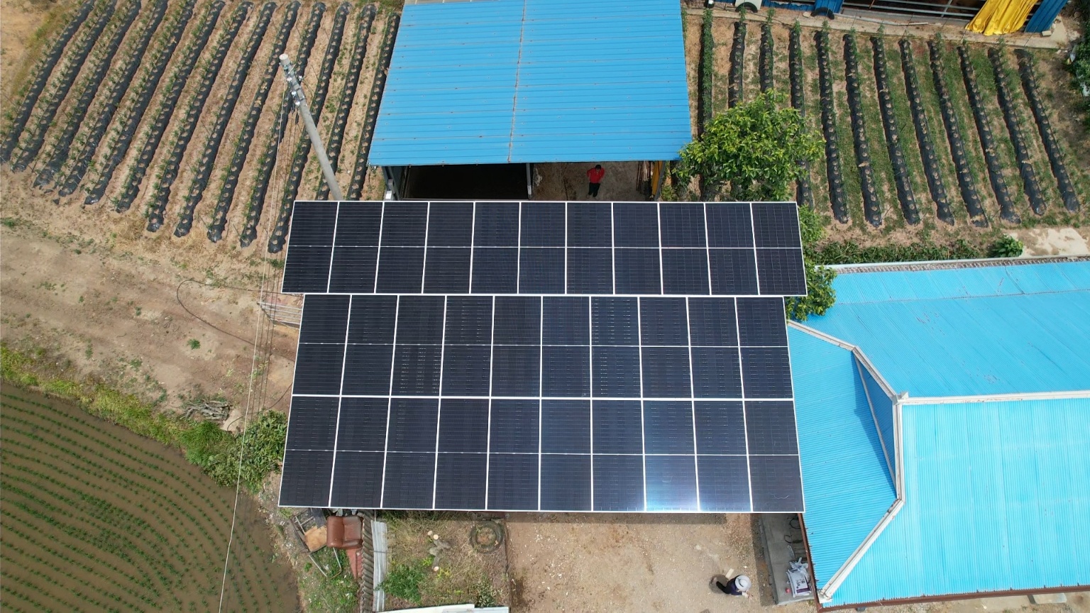 /user/m/miraeenp/editor/2601/5ff713bf9954304ded0b075424d8d08c_1769497932_495.jpg 이미지크게보기