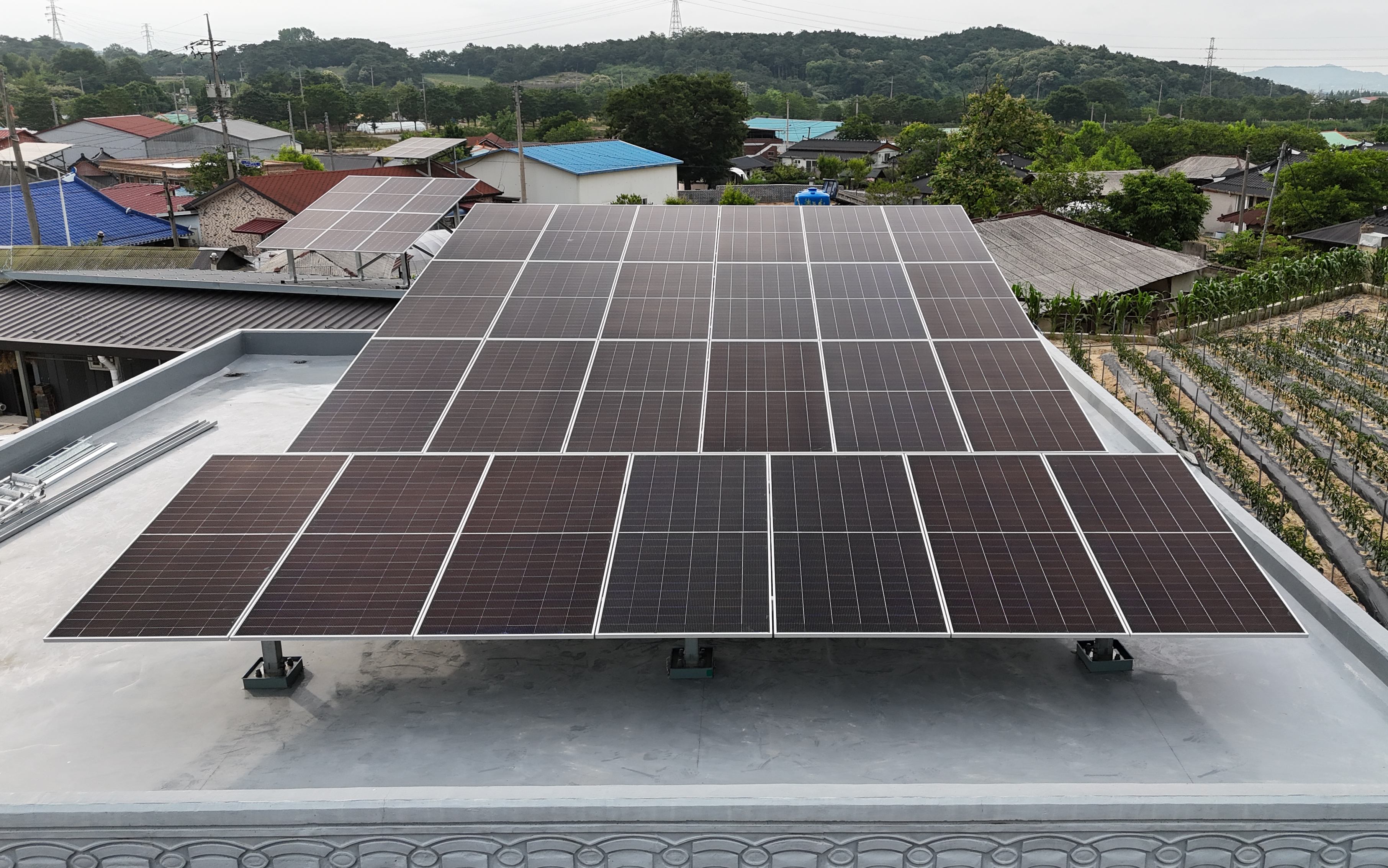 /user/m/miraeenp/editor/2601/5ff713bf9954304ded0b075424d8d08c_1769498301_1762.jpg 이미지크게보기