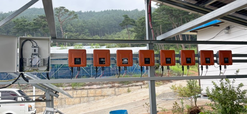 /user/m/miraeenp/editor/2601/bc081a9a7dd645d933c2fdfe5ea3ed03_1769736800_5864.jpg 이미지크게보기