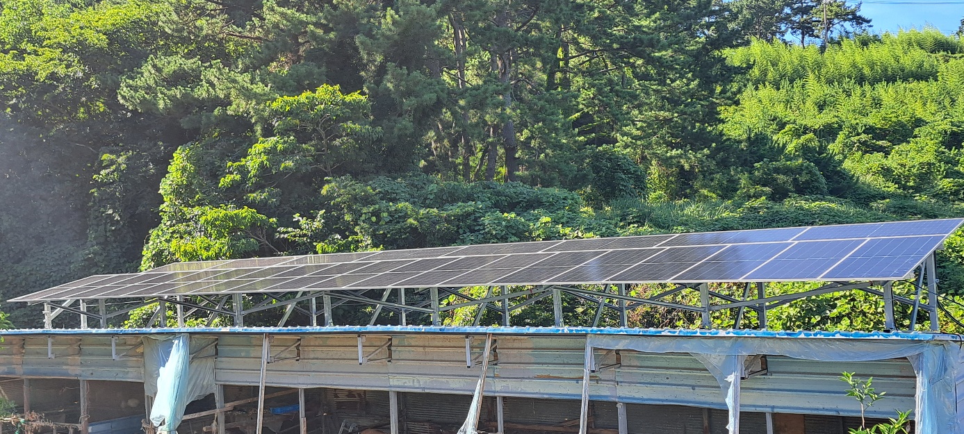 /user/m/miraeenp/editor/2601/dbebf02cd7a35648de7de0d297f191a9_1769669947_022.jpg 이미지크게보기