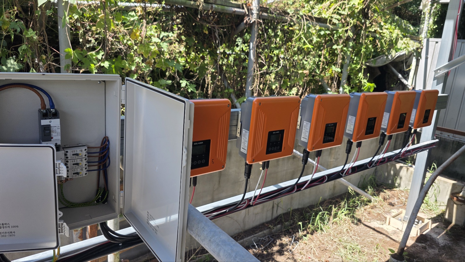 /user/m/miraeenp/editor/2602/11808798c1ff90d9312fd46c328e275e_1769997743_4101.jpg 이미지크게보기