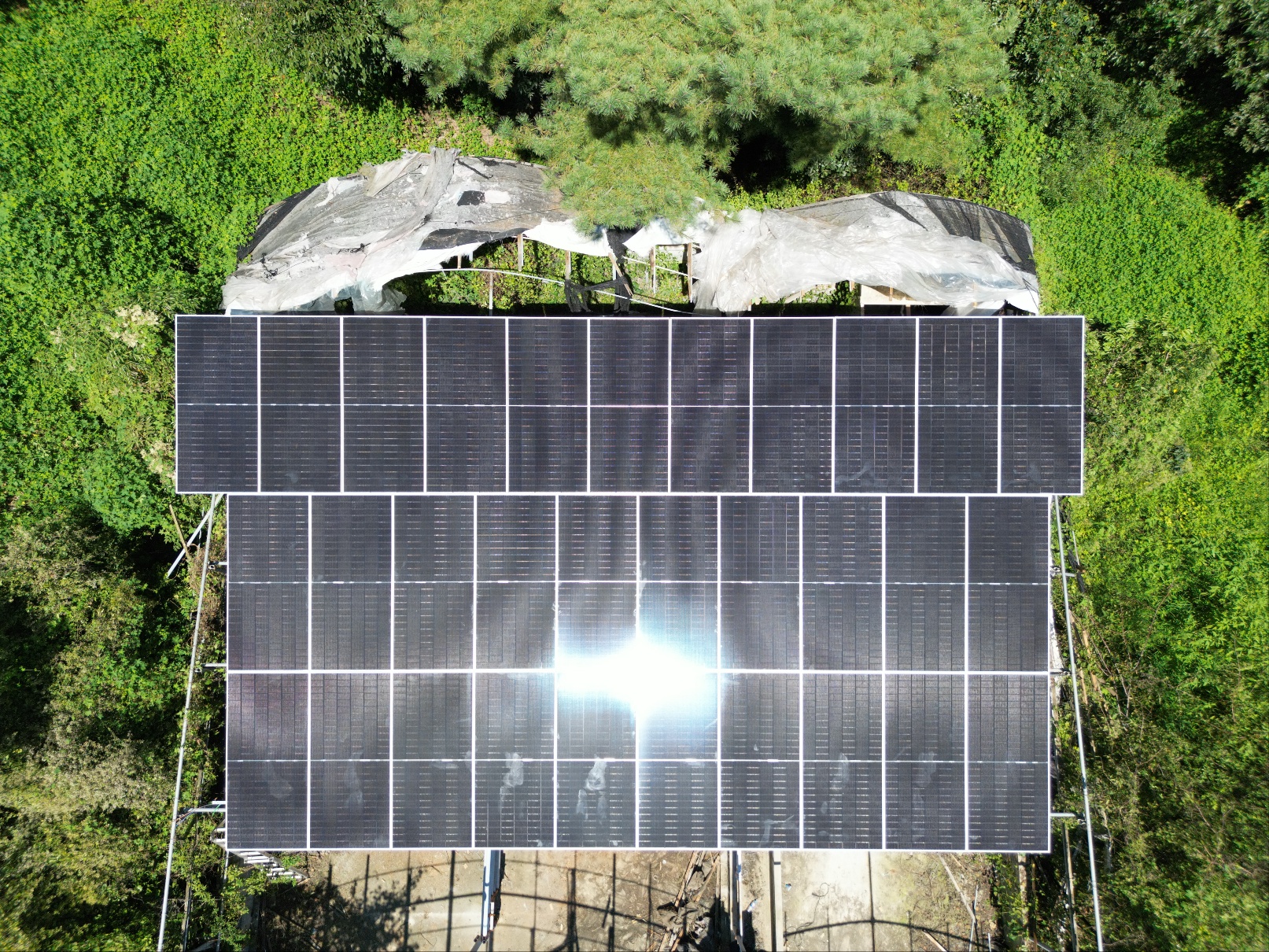 /user/m/miraeenp/editor/2602/11808798c1ff90d9312fd46c328e275e_1769997749_6263.jpg 이미지크게보기