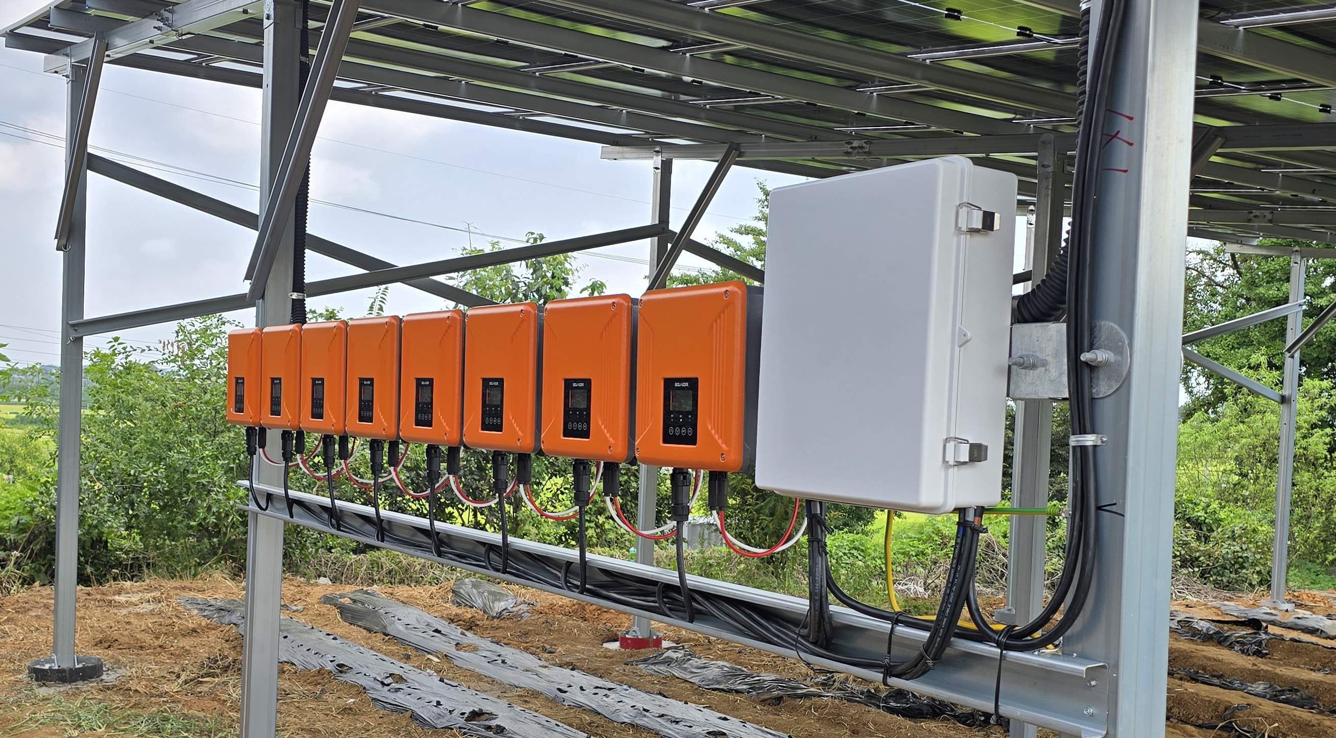 /user/m/miraeenp/editor/2602/11808798c1ff90d9312fd46c328e275e_1770000572_0127.jpg 이미지크게보기