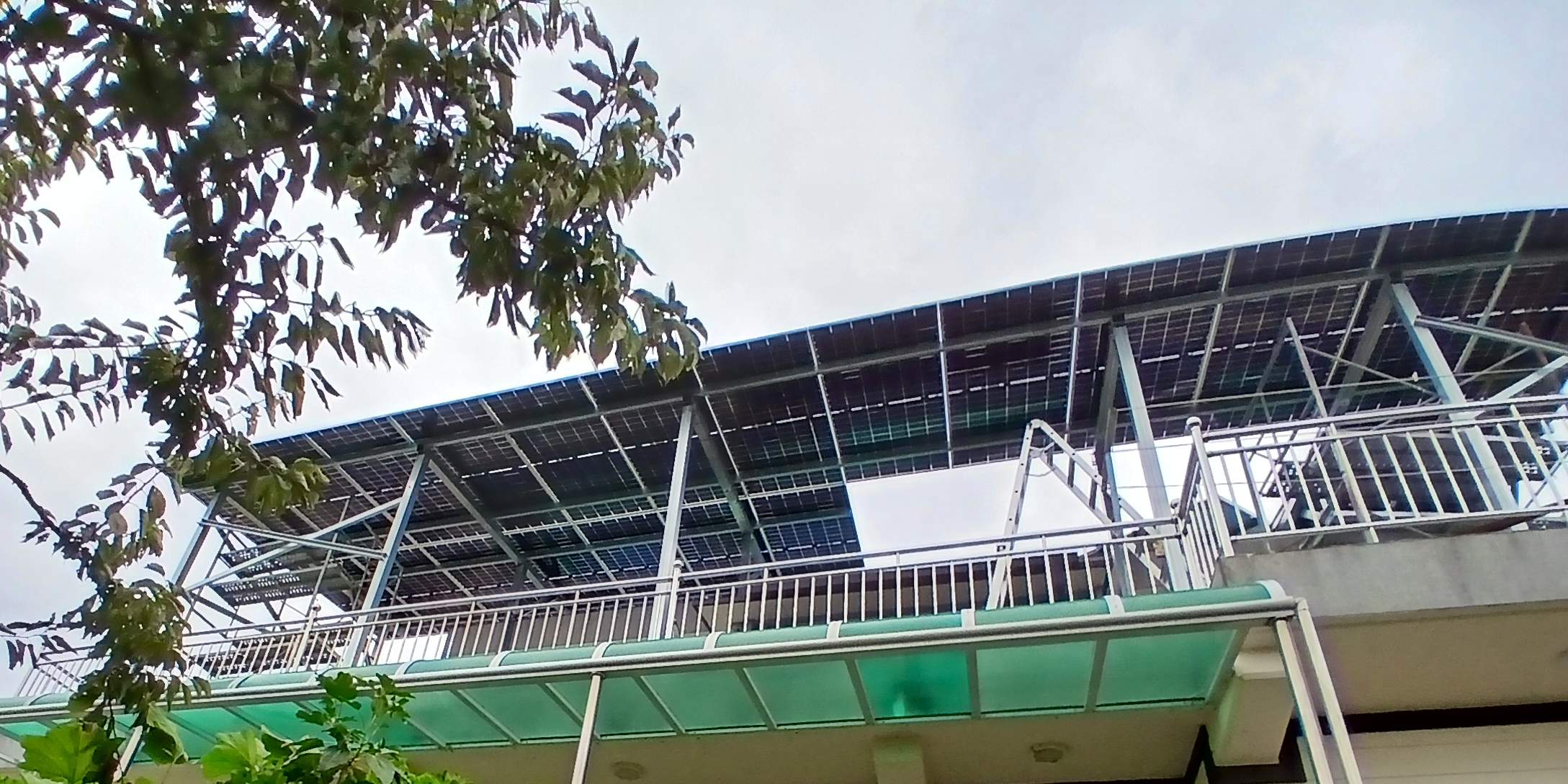 /user/m/miraeenp/editor/2602/11808798c1ff90d9312fd46c328e275e_1770011273_3617.jpg 이미지크게보기