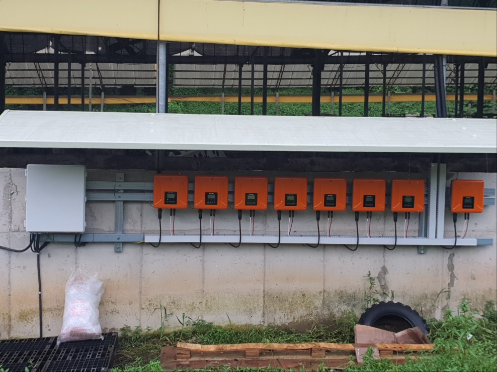 /user/m/miraeenp/editor/2602/11808798c1ff90d9312fd46c328e275e_1770012523_9464.jpg 이미지크게보기