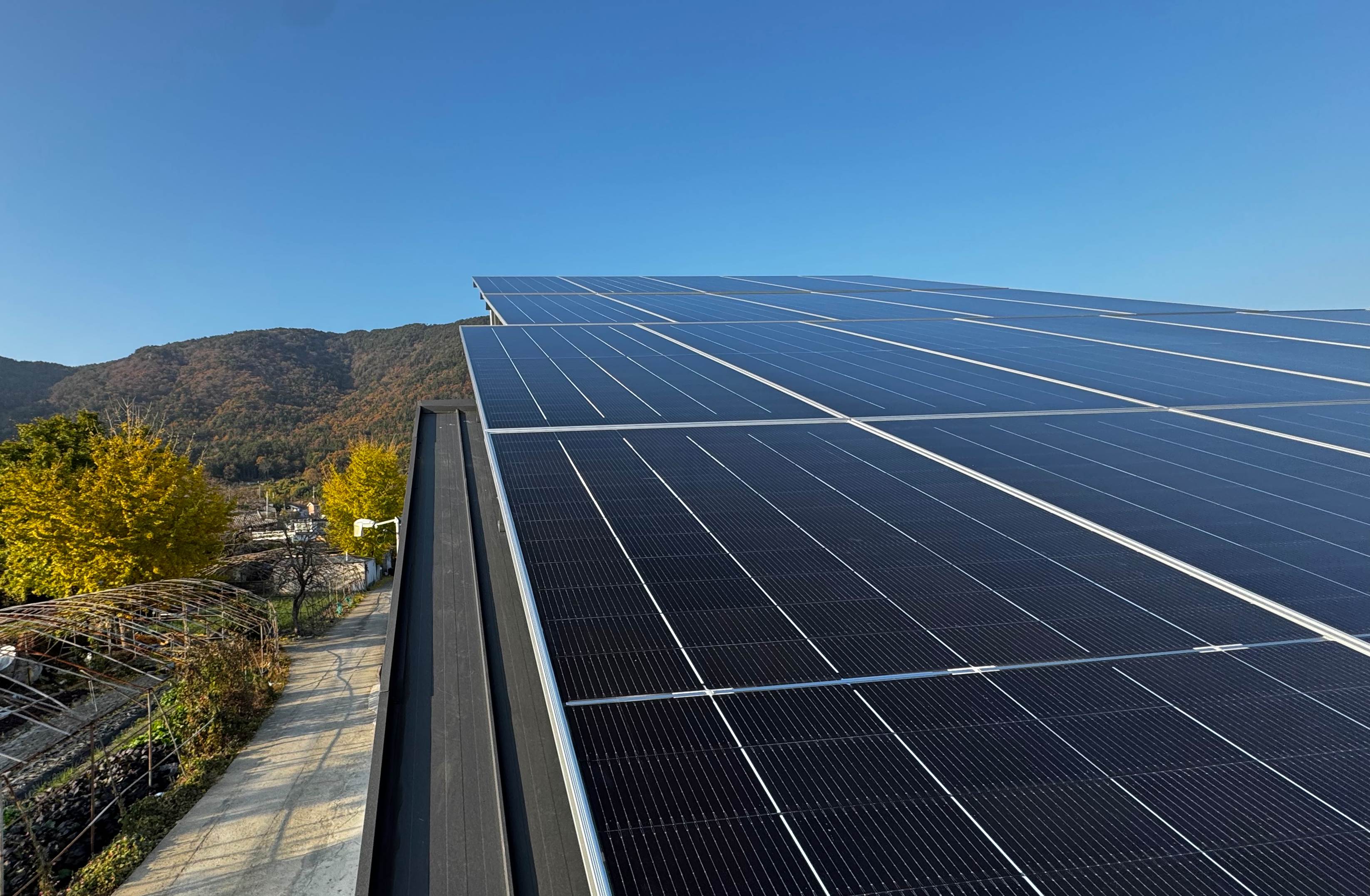 /user/m/miraeenp/editor/2602/48f1aaaef830e3db480a6c2cd3fb88ed_1770184692_1028.jpg 이미지크게보기